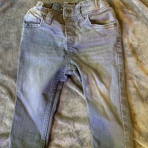 Cat and jack toddler jeans